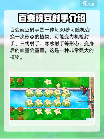 植物大战僵尸无双版🔥超强植物阵容大揭秘！截图2