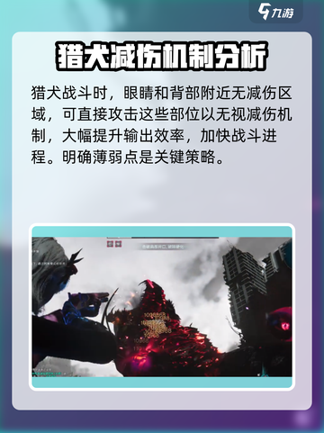 七日世界暗影猎犬🔥超强过关指南来啦！截图3