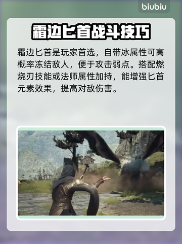 《龙之信条2》盗贼武器推荐🔥📌截图2