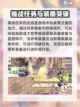 彩虹橙攻略详解介绍截图4