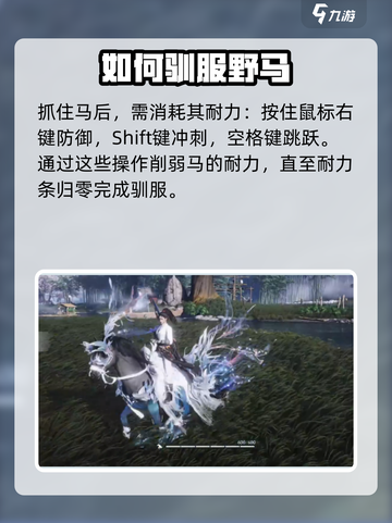燕云十六声马怎么抓介绍截图6