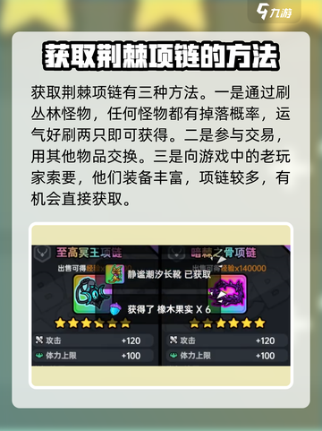 英勇之地荆棘项链怎么获得介绍截图5
