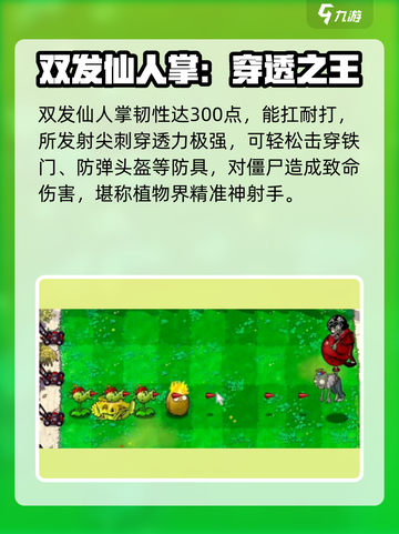🎮植物大战僵尸双发仙人掌测评！💥截图3