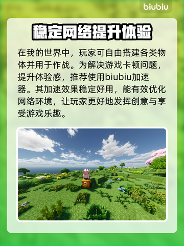 玩MC卡顿？我的世界🔥加速器推荐来了！截图2