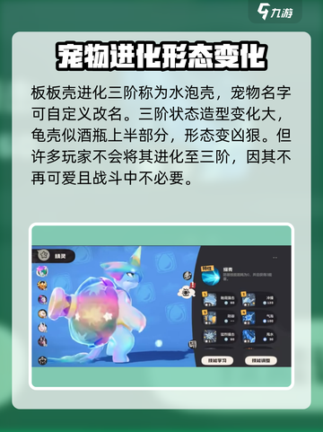 洛克王国💥琉璃龟板板壳超详细解析来啦！截图4