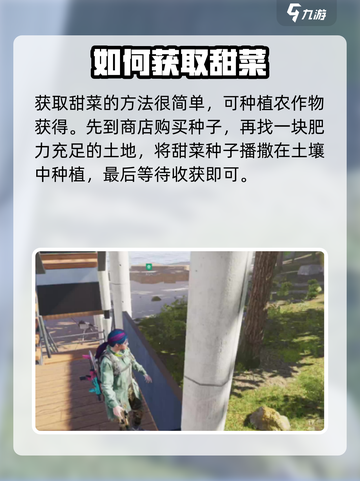 七日世界手游哪有甜菜介绍截图2