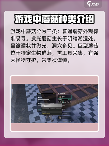 七日世界蘑菇去什么地方采集介绍截图5