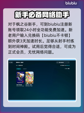 冒险岛国际服加速器推荐🌟游戏流畅不 Lag！🎉截图2
