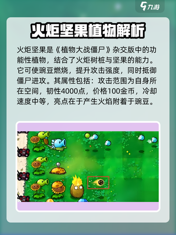 植物大战僵尸：火炬坚果🔥超神属性解析！坚果 :";
截图2