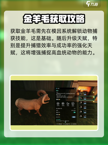 七日世界金羊毛获取攻略介绍截图2