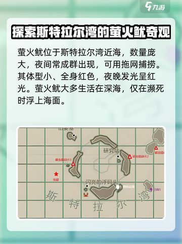 渔帆暗涌萤火鱿位置在哪介绍截图2