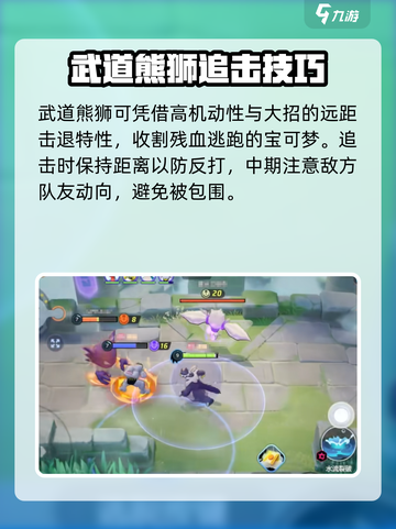 宝可梦大集结连击流武道熊狮怎么玩介绍截图5