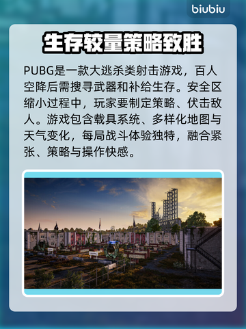 PUBG闪退蓝屏？❌这几招教你轻松解决游戏难题！🎮截图2