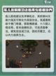 大江湖之苍龙与白鸟开局推荐介绍截图3