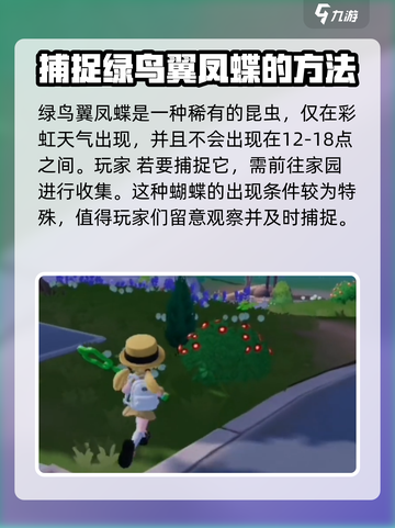 心动小镇捕虫网怎么获得介绍截图5