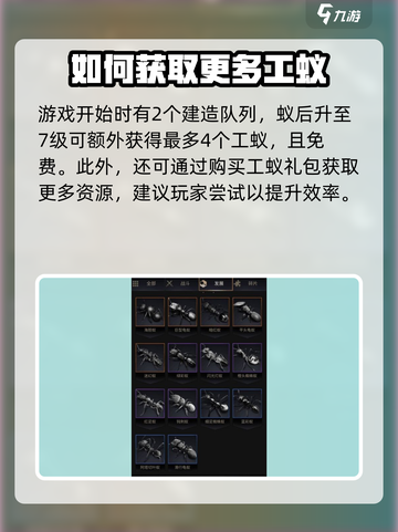 小小蚁国可以买几只工蚁介绍截图3