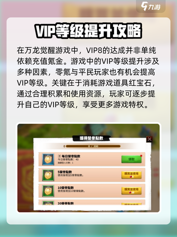 万龙觉醒VIP八需要多少钱介绍截图2