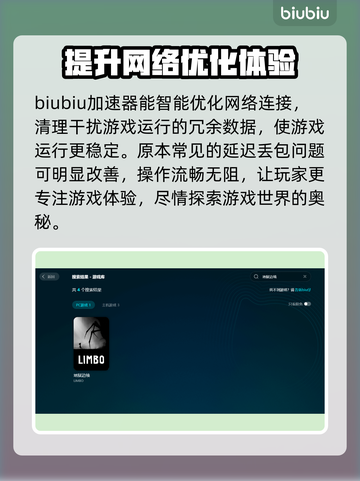 地狱边境延迟丢包？❌解决方案来了！🔥截图2