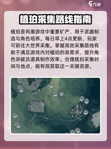 鸣潮植珀有什么用介绍截图2