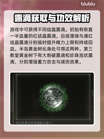 艾尔登法环⚡黄金树之影露滴全收集攻略✨截图2