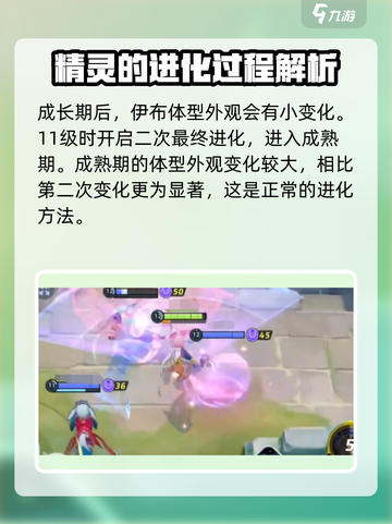 宝可梦大集结伊布怎么进化介绍截图5