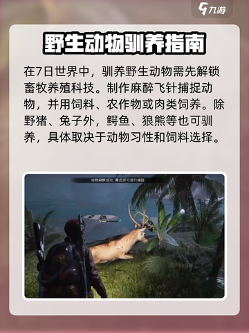 七日世界驯养动物攻略介绍截图2