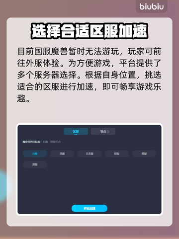 魔兽世界🔥外服加速用啥好？玩家必备🎉截图4