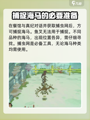 潜水员戴夫海马怎么捉介绍截图2