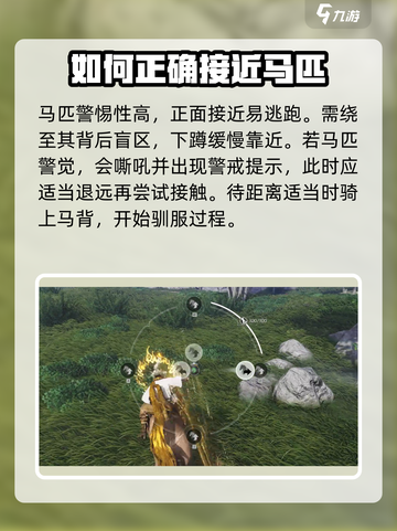 燕云十六声怎么抓马介绍截图2