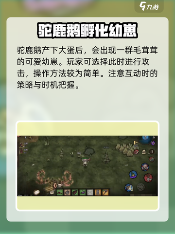 饥荒新家园🔥驼鹿鹅在哪？打法攻略⚡截图4