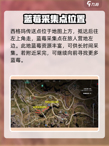 七日世界蓝莓采集点哪里好介绍截图2