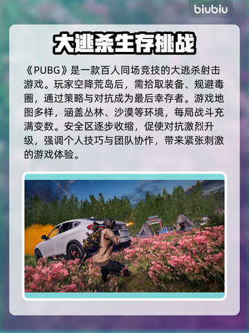 绝地求生闪退？用对加速器轻松解决💥截图2