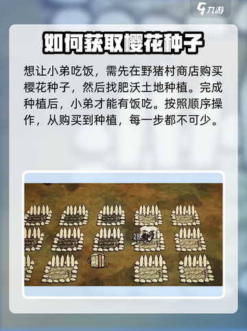 饥荒新家园樱花树怎么种介绍截图2