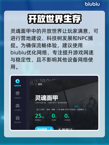灵魂面甲🔥加速器推荐，玩游戏必备！🎮截图3
