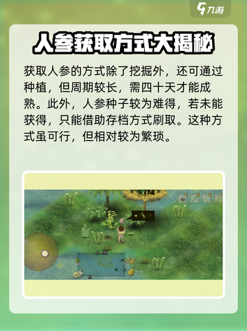挨饿荒野罗马尼亚高山人参位置在哪里介绍截图4