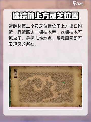 《大侠立志传》灵芝位置大起底🔥超全获取攻略来啦！截图5