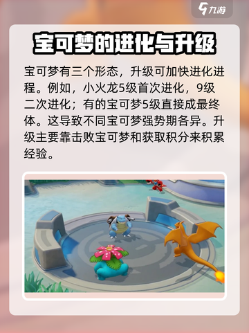 宝可梦大集结新手攻略介绍截图3
