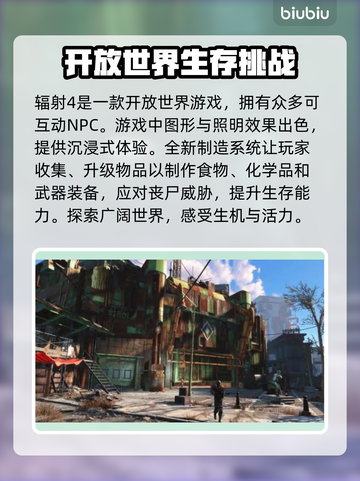辐射4闪退？这些解决方法让你畅玩无忧🎉截图2