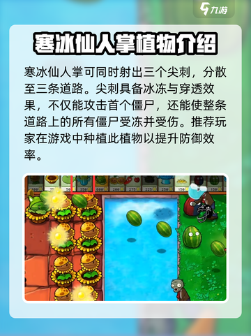 植物大战僵尸：寒冰仙人掌🔥超好用！冻住僵尸不是梦✨截图3