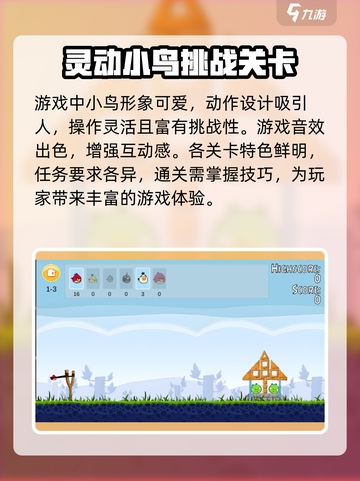 愤怒的小鸟肉鸽版🔥玩法超有趣，小鸟迷必玩！🚀截图4