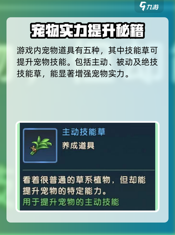魔力宝贝复兴宠物道具大全介绍截图2