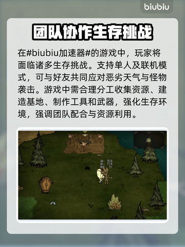 饥荒联机版服务器崩溃？这个加速器🔥让你畅玩无忧！截图2