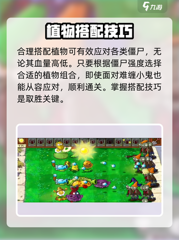 🎮植物大战僵尸盲盒神抽！截图4