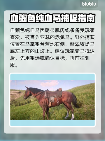 荒野大镖客PC版最强🔥神马分享来了！截图3