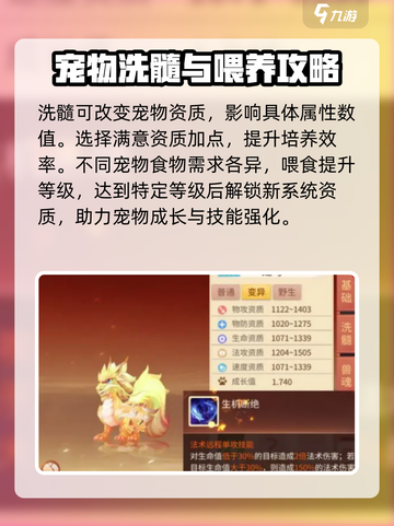梦想桃源宠物养成🔥超全玩法攻略来了！截图3