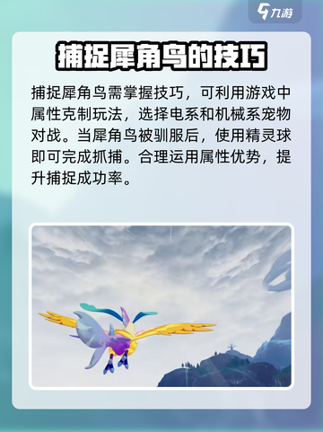 洛克王国手游犀角鸟怎么获得介绍截图5