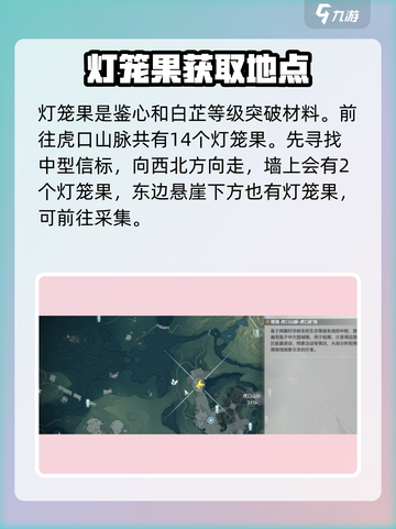 鸣潮灯笼果在哪介绍截图2