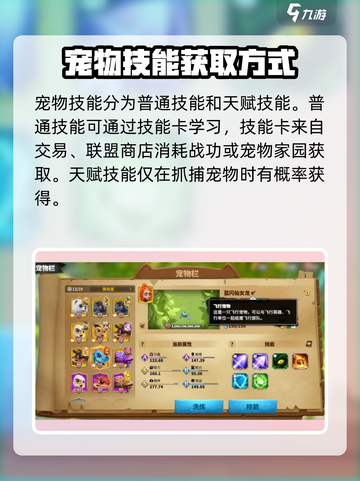 万龙觉醒💥宠物技能全解析❗升级必备🔥截图2
