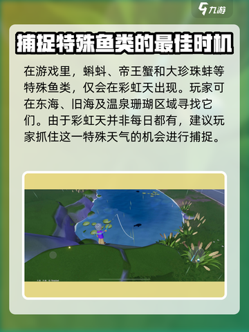 心动小镇彩虹天钓鱼怎么钓介绍截图4