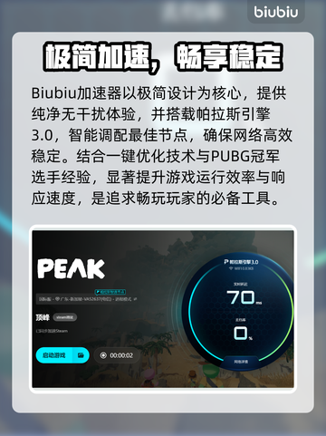 🎮Peak游戏卡顿爆肝！加速器救星来了💥截图4